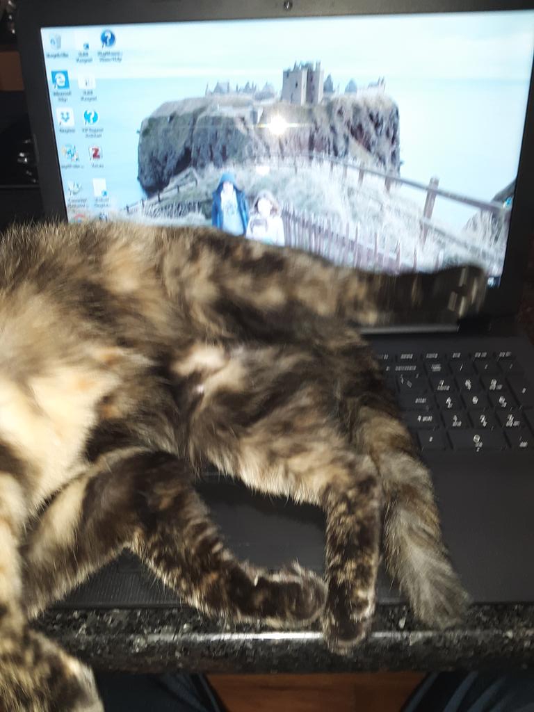 This surely a sign that I shouldn't be trying to work on Thanksgiving.