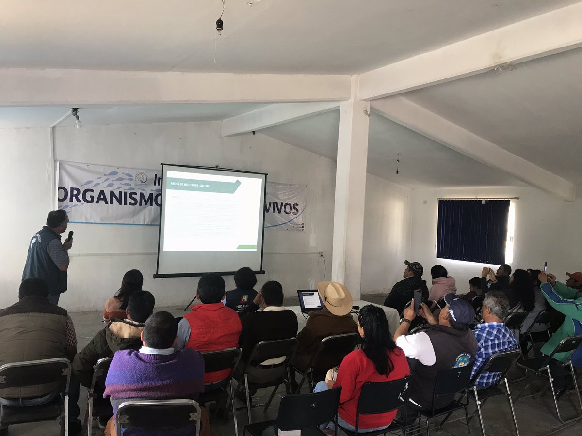 El Comité Acuícola Hidalguenses de de Sanidad, A.C. Está llevando acabo el curso “Movilización de Organismos Acuáticos Vivos en el estado de Hidalgo” Con el objetivo de capacitar a productores de Instalaciones Acuícolas de reproducción y/o cuarentena y engorda <a href="/UCEHGO/">SENASICA Hidalgo</a> @Car_Muniz