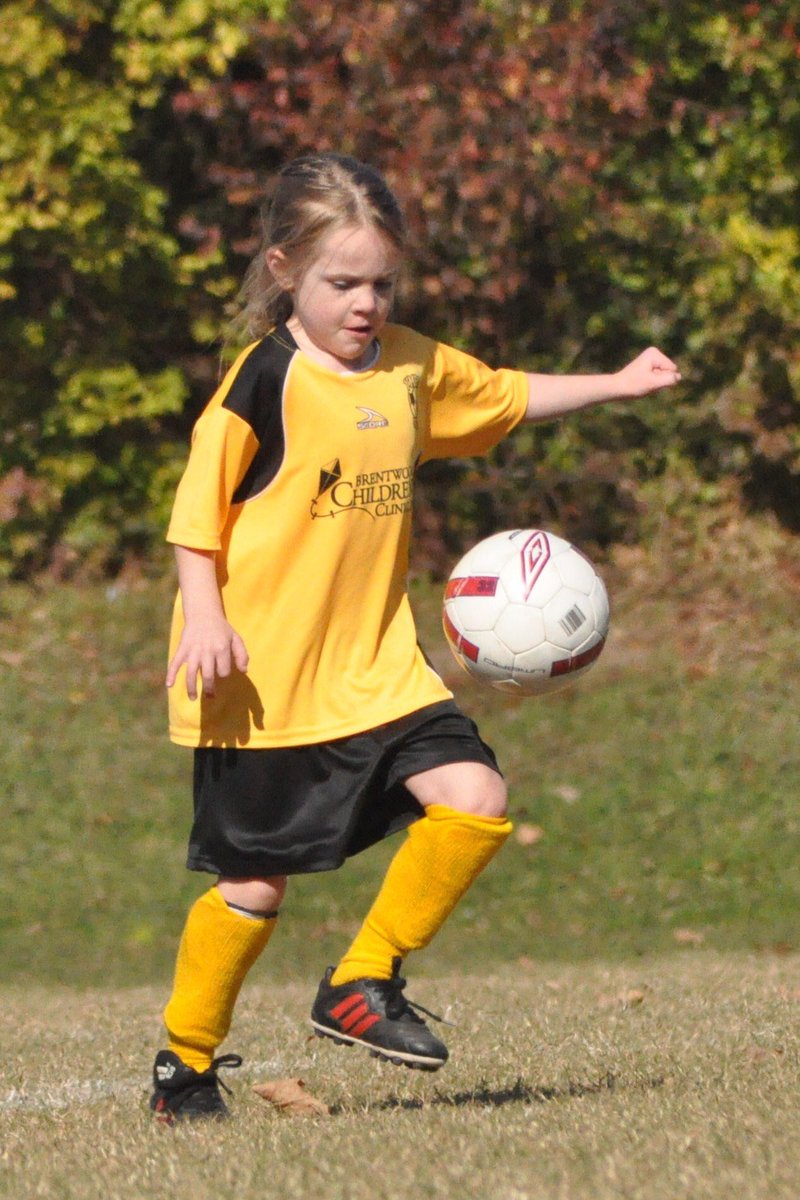 Meghan Lee tweet media