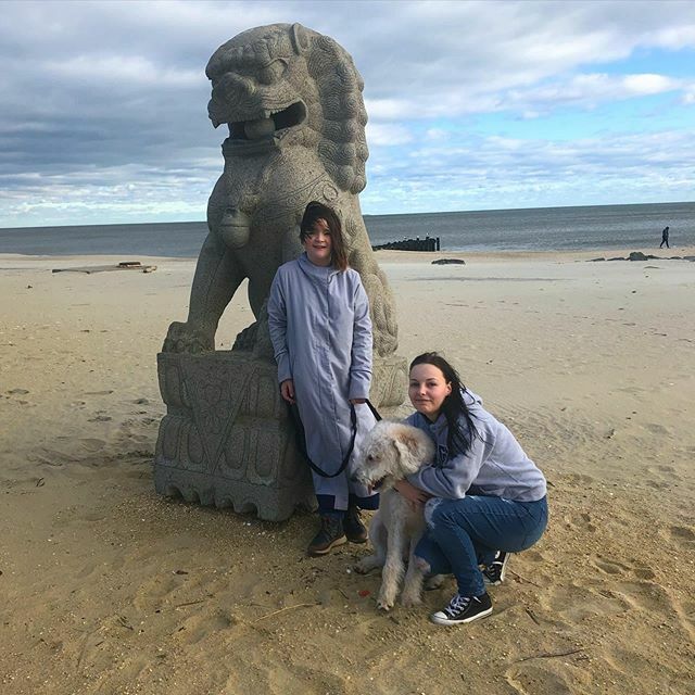 The delightful things you can find on a New Jersey beach. #beach #lionstatue #wardoffevil #labordoodle #newjersey ift.tt/37JASFO