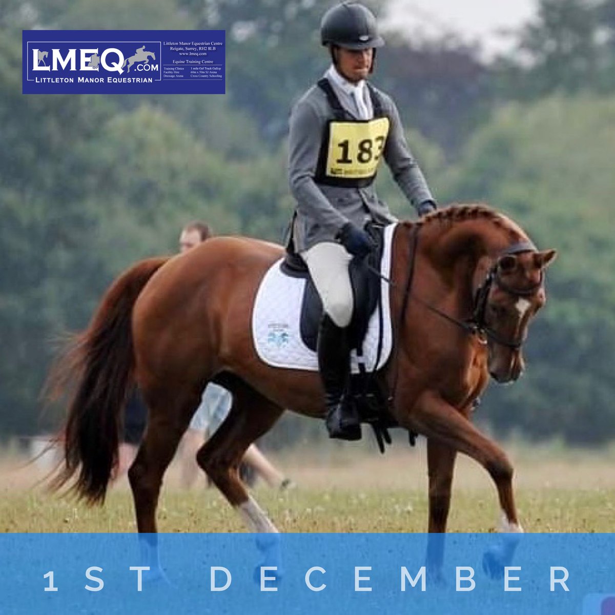 Littleton Manor EQ