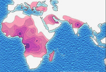 14/There’s a happy irony that with the money mostly going to the genotyping of people of European ancestry, the biggest near-term impact of GWAS might actually be on the health of people of sub-Saharan African ancestry.Map of sickle cell disease distribution: