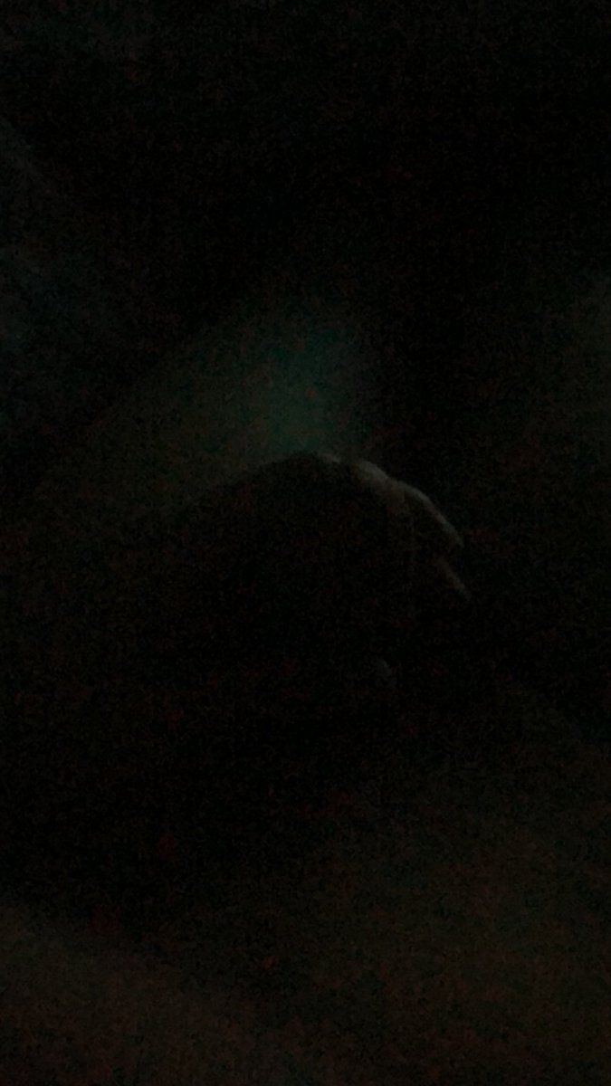 새벽은 언제나 발정이지!
#섹트 #발정 #숫캐