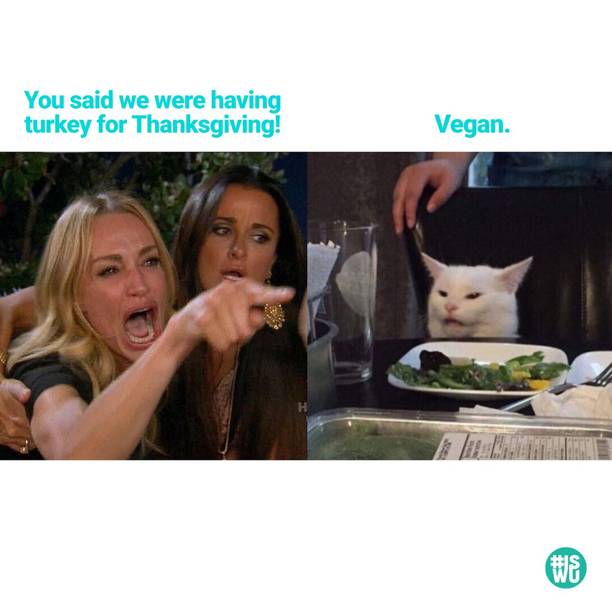 Tofurkey emotions aside, let's give 🙏 for the smaller carbon footprint!
 🦃🌍

#SDG13 #TofurkeysForLife #ClimateAction #GivingThanks