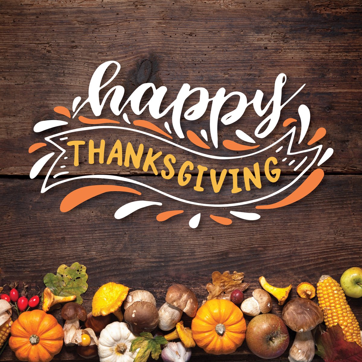 GerryGabrys's tweet image. On this #Thanksgiving, I want to share my genuine appreciation for each Guest Services employee. The company wouldn’t be where it is today without you! THANK YOU! #HappyThanksgiving #GobbleGobble