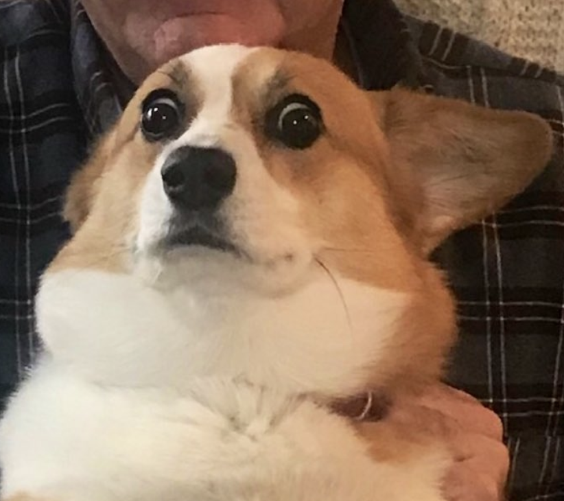 JordanUhl's tweet image. should we...should we send help?