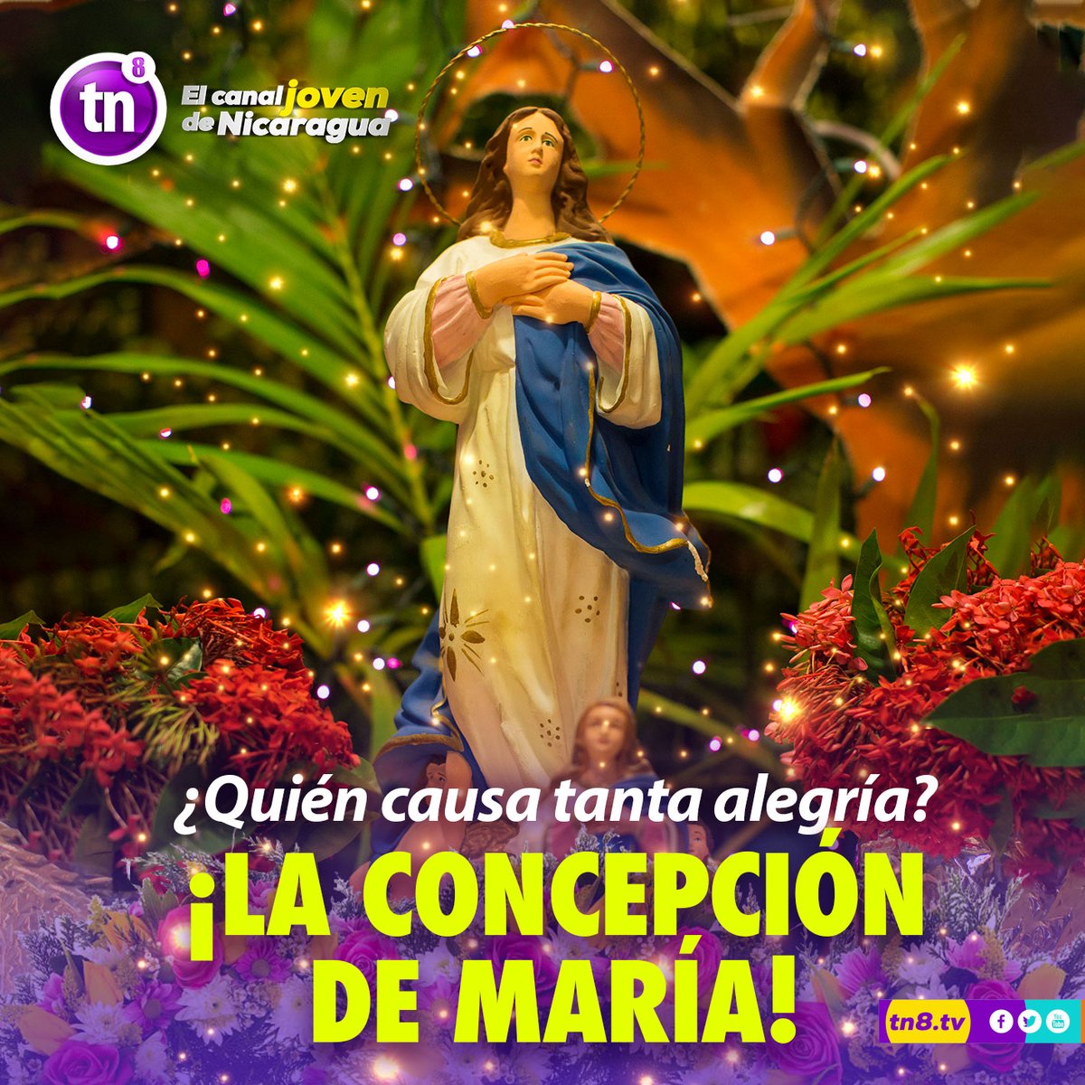 canaltn8's tweet photo. - ¡¿Quién causa tanta alegría?!
- ¡La Concepción de María!

En #TN8 nos unimos a las fiestas de la Purísima Concepción de María ¡Felices fiestas marianas! https://t.co/AtlKL0vKVS