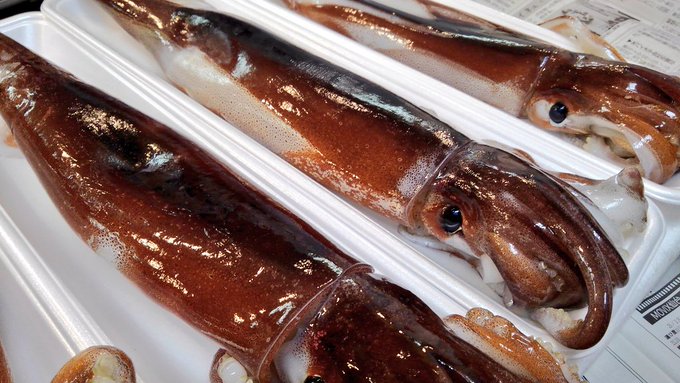 イカを冷凍保存する方法と正しい解凍方法 簡単なさばき方と下処理も お食事ウェブマガジン グルメノート