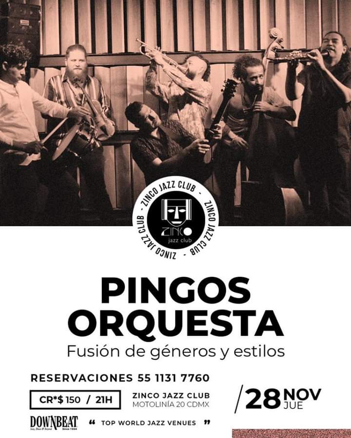 La Pingo's Orquesta tweet media