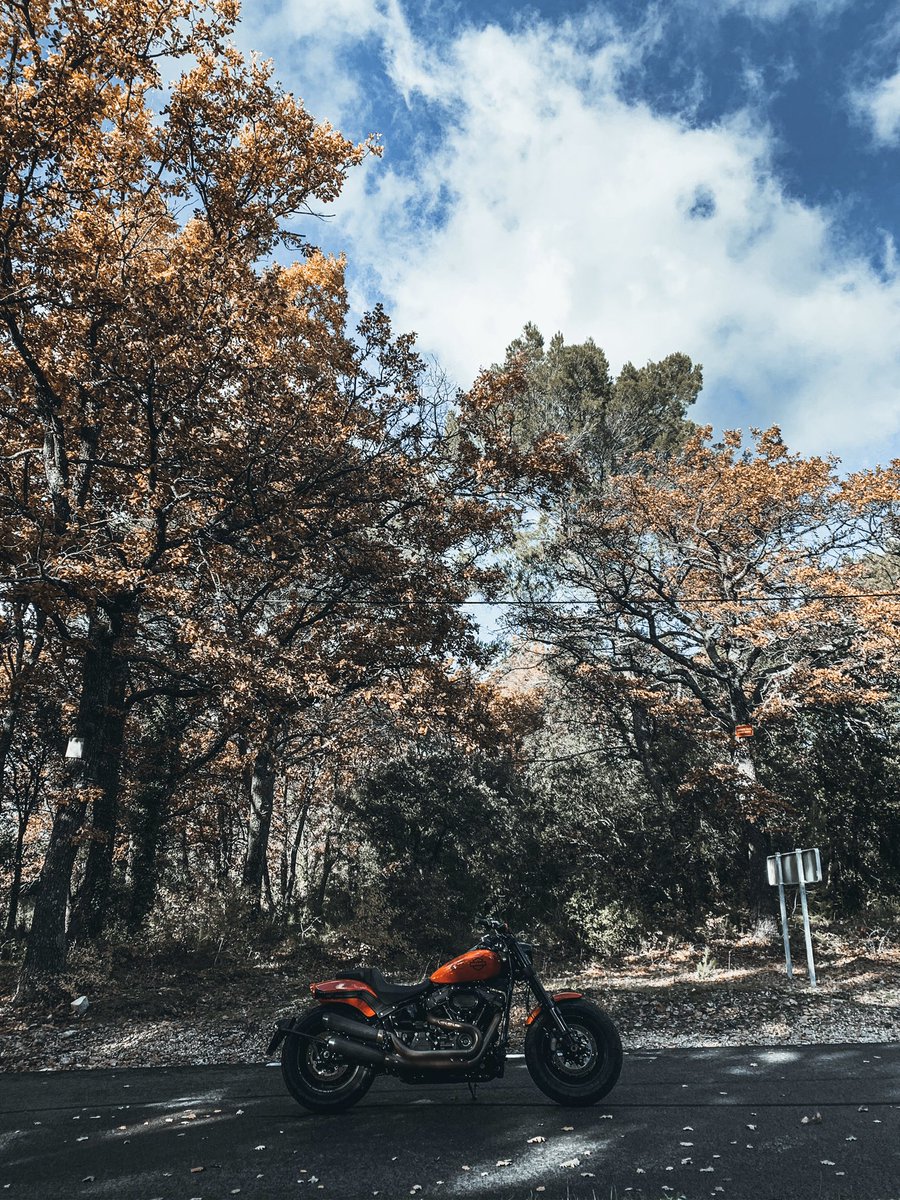 In love with my @Harley_France Fat bob orange color. 😎