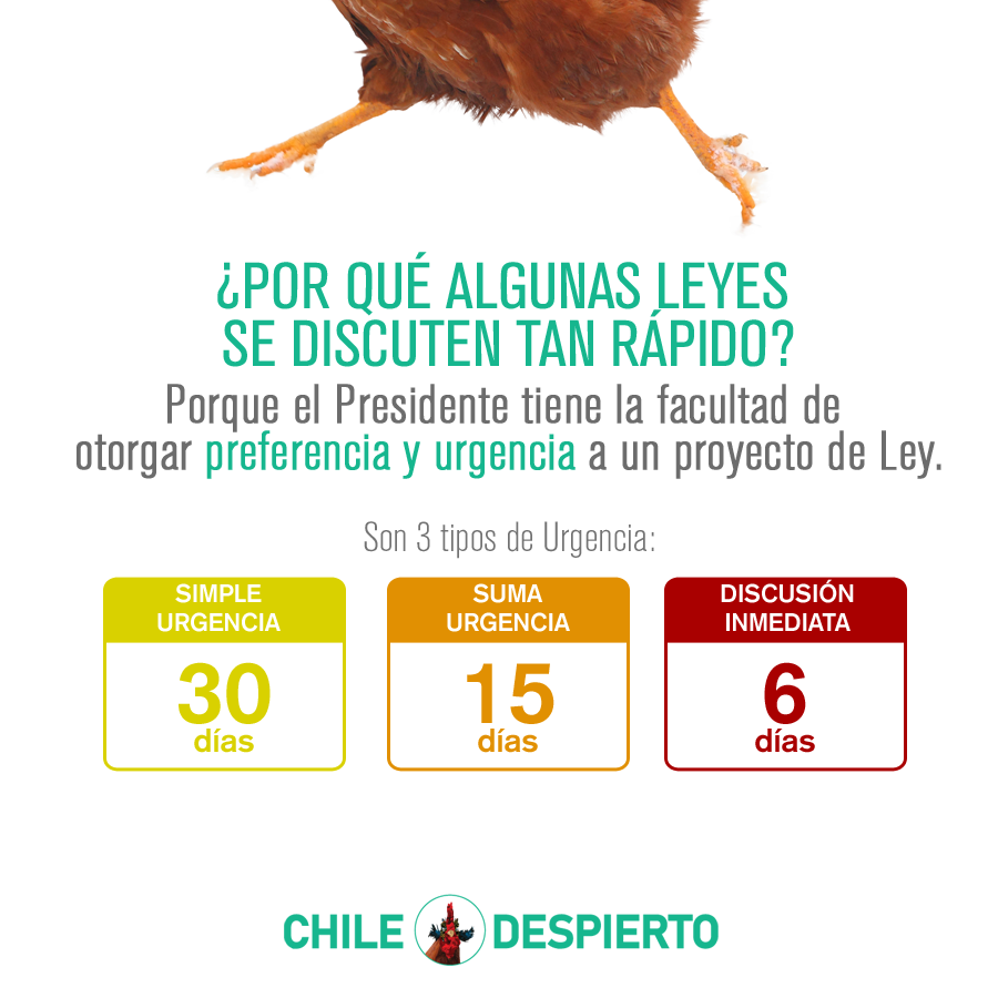 CLdespierto's tweet photo. Las leyes en general, no tienen un plazo determinado para su discusión. Pero el presidente (y sólo él) puede acelerar el trámite a través de la #urgencia
#ChileDespierto 🐔

#LeyAntiencapuchados #LeyAntiSaqueos #LeyAnticapucha https://t.co/DWSDMuARBP
