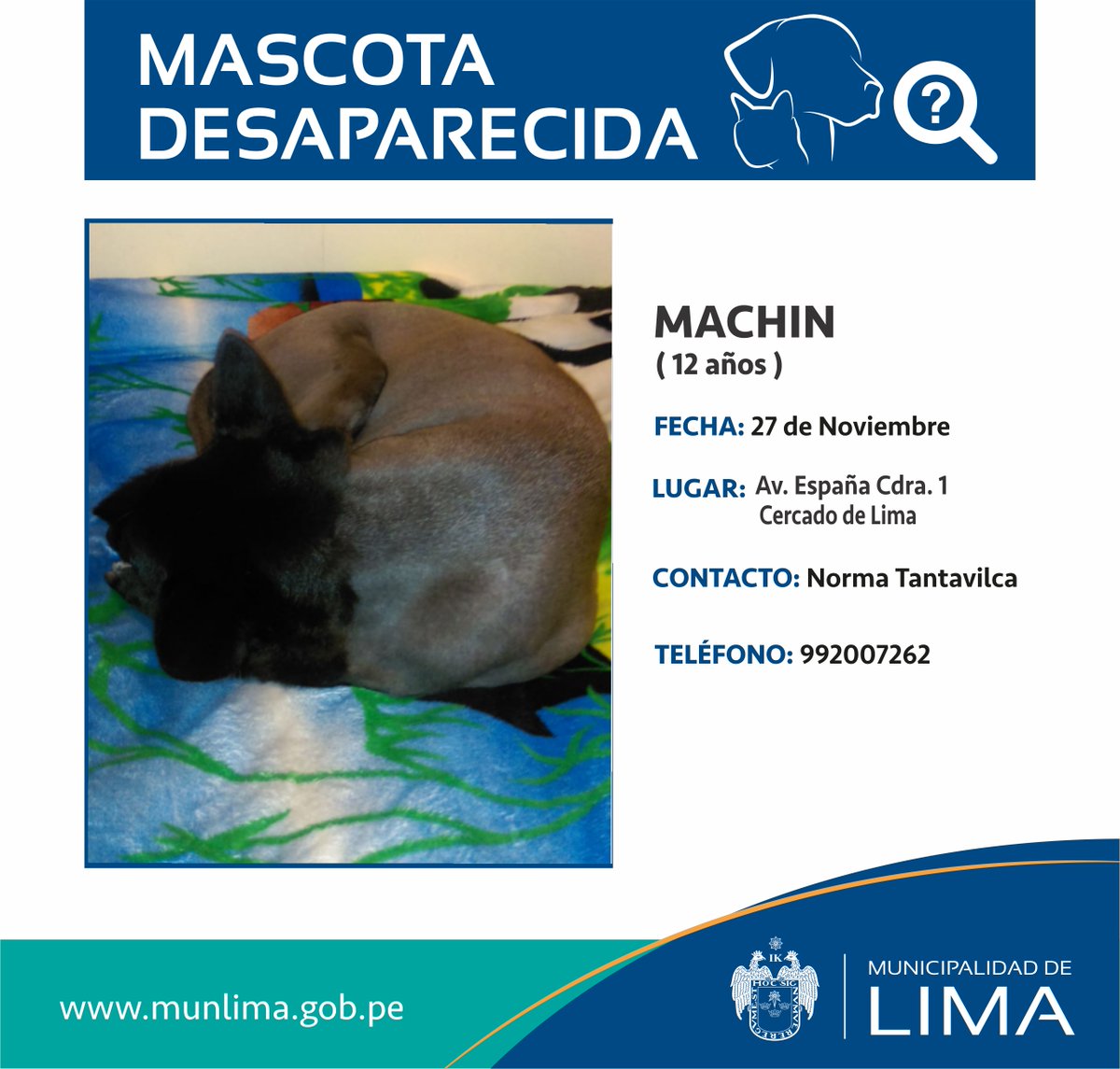 LimaSeguraMML's tweet photo. #CanExtraviado Recuerda que con tu RT puedes ayudar a difundir esta información. https://t.co/MPcPGJiyjn