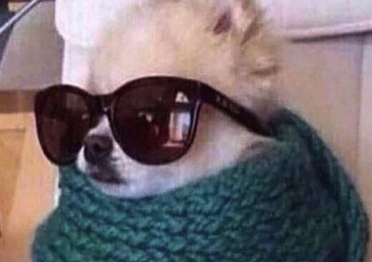 GangIntrovertis's tweet image. Quand dans le métro tu envoies tous les signaux du monde pour qu'on te laisse tranquille mais qu'une mamie inconnue et bavarde s'assoie à côté de toi pour te parler de ses vacances à Porto-Vecchio cet été

#GangdesIntrovertis #Introverti