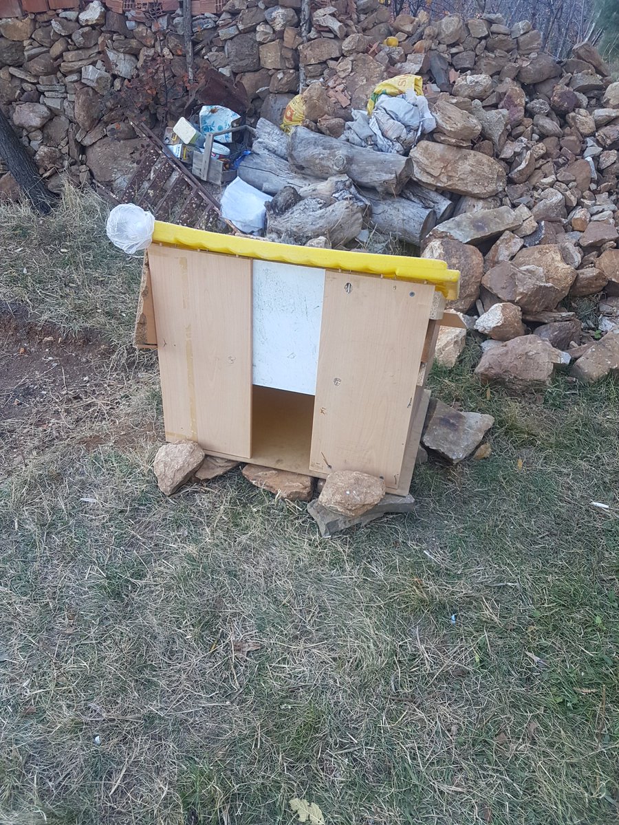 mrtks80's tweet photo. @pervasizcom Çakıllar ortaokulu çevriesinde bulunan sokak köpekleri yavruladı 12 tane minik yavrumuz var kendi imkanlarımızla öğrencilerle beraber onlara bir barınak yaptık ancak beslenme konusunda  her nekadar elimizden geleni yapsakta hayvan severlerin yardımlarını bekliyoruz. https://t.co/ORxUIoH5E0