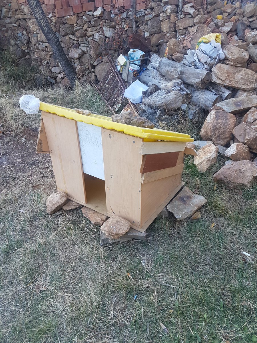 mrtks80's tweet photo. @pervasizcom Çakıllar ortaokulu çevriesinde bulunan sokak köpekleri yavruladı 12 tane minik yavrumuz var kendi imkanlarımızla öğrencilerle beraber onlara bir barınak yaptık ancak beslenme konusunda  her nekadar elimizden geleni yapsakta hayvan severlerin yardımlarını bekliyoruz. https://t.co/ORxUIoH5E0