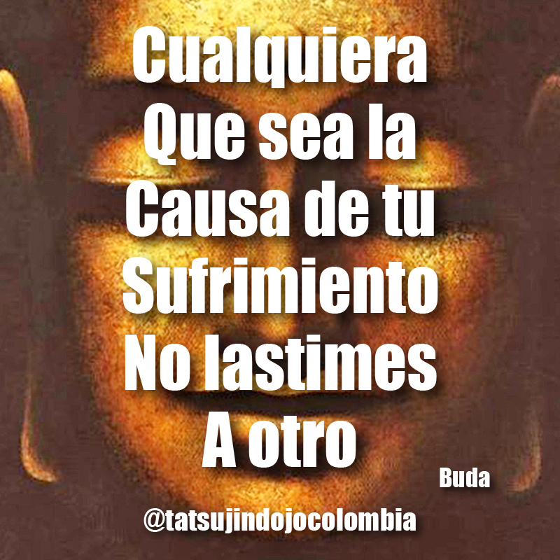 TatsujinCol's tweet photo. A pesar de la influencia de nuestra cultura popular, todo enojo o molestia, no es razón ni justificación para hacer daño a ninguna otra persona. https://t.co/daCHYyZThn