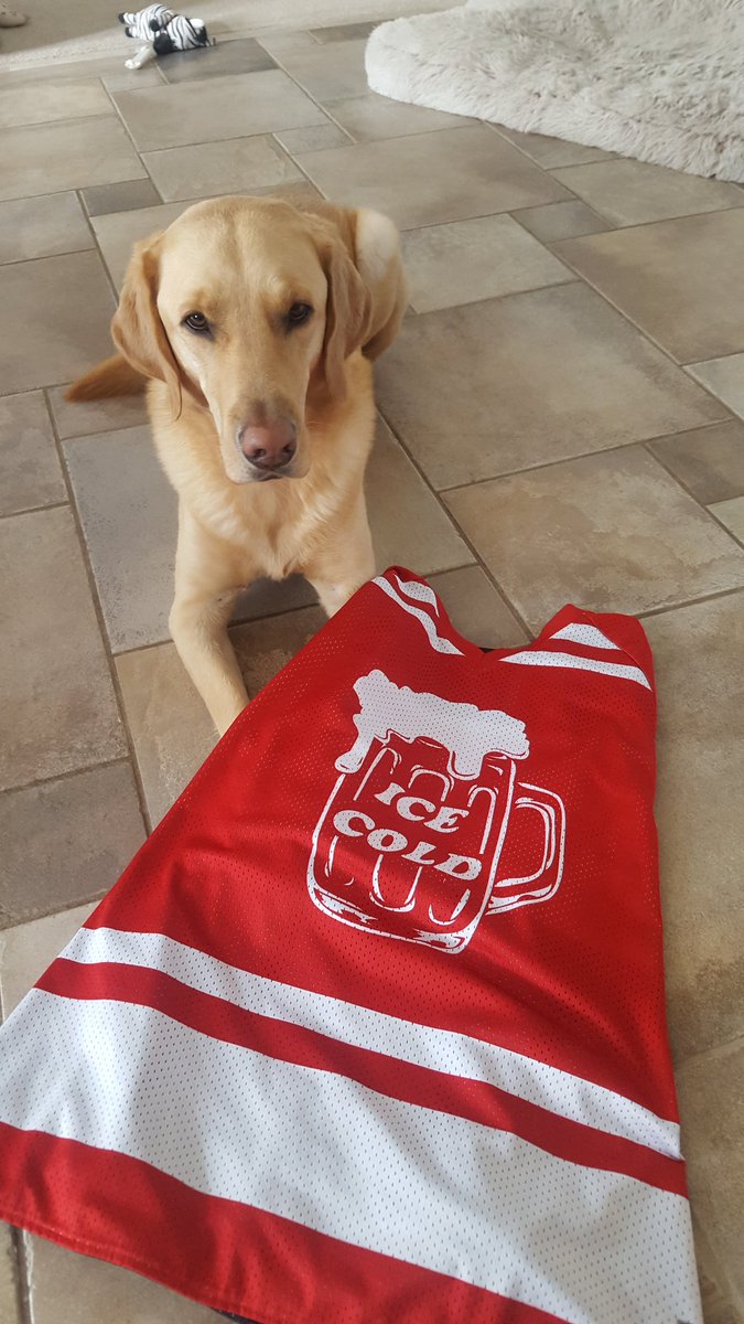DraftBuddy's tweet photo. @FAN590 @TheBeerStoreON Kinzie doesn't have a Twitter account so someone please #VoteIceCold on his behalf ๐ถ https://t.co/6P65KEmbNm