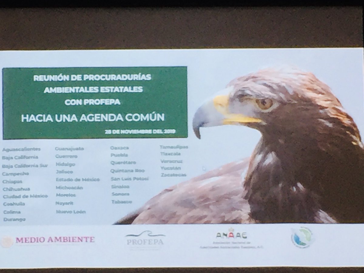 Roy_Guerrero's tweet photo. #ANAAE #PROPAED #DURANGO #PROFEPA #MEXICO https://t.co/jVDKAASC4G