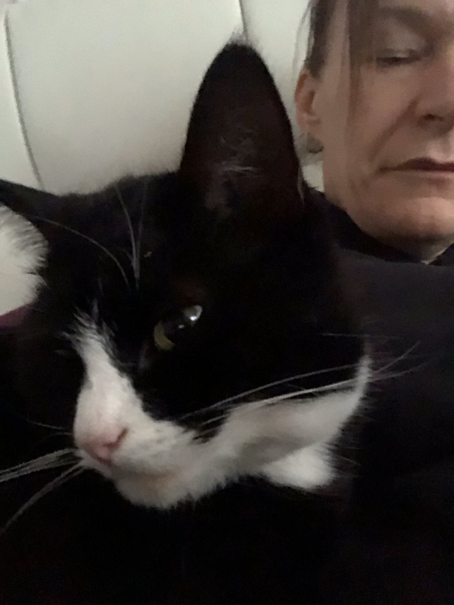 emmadulla's tweet photo. @TheRangeUK 😻😻 https://t.co/LrtnK3qskc