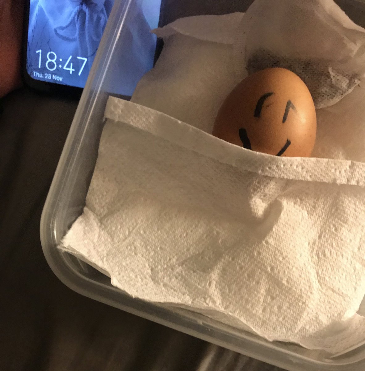 OfficialEggShe1's tweet photo. Tucked in nice and early, ready for a big day of learning tomorrow, Egg Sheeran signing off for the night🥚 https://t.co/ryCJECNlCy