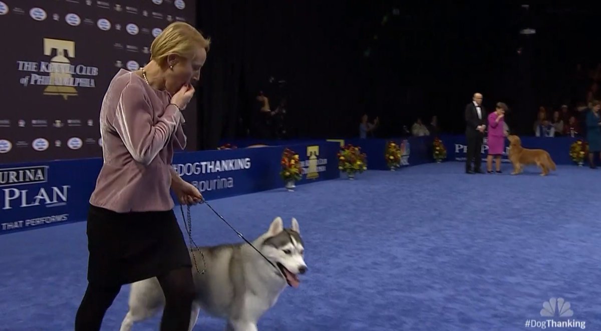 ...the human was showing the husky a snakkieand thenput it in her own mouthand thentook it outwhy are you teasing the poor huskylet the husky have the snakk