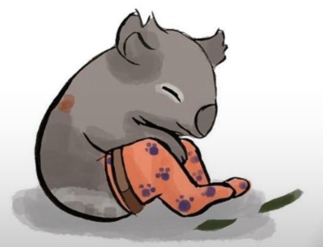 Siembra, no tires basura a nuestros bosques, no tales, come más vegetales que carne, recicla. Estamos destruyendo nuestro planeta y el de millones de especies. Toma conciencia, aún estamos a tiempo😔🙏🏻 #pasven