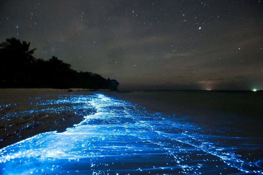 Another theory that makes this very believable is the beach of Maldives I'm sure many don't know a certain beach in Maldives glows light at night....