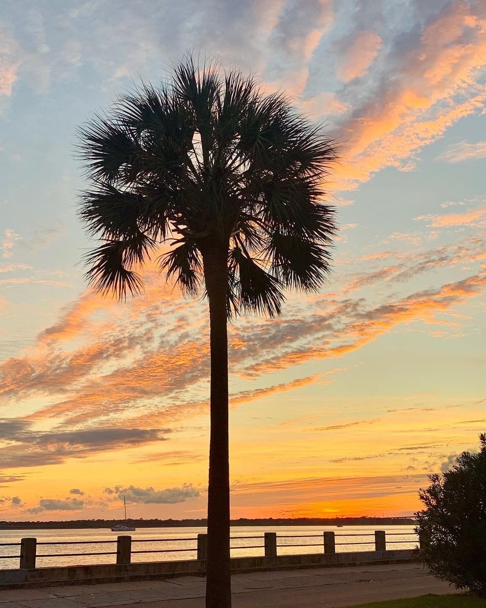 CharlestonPosts tweet picture