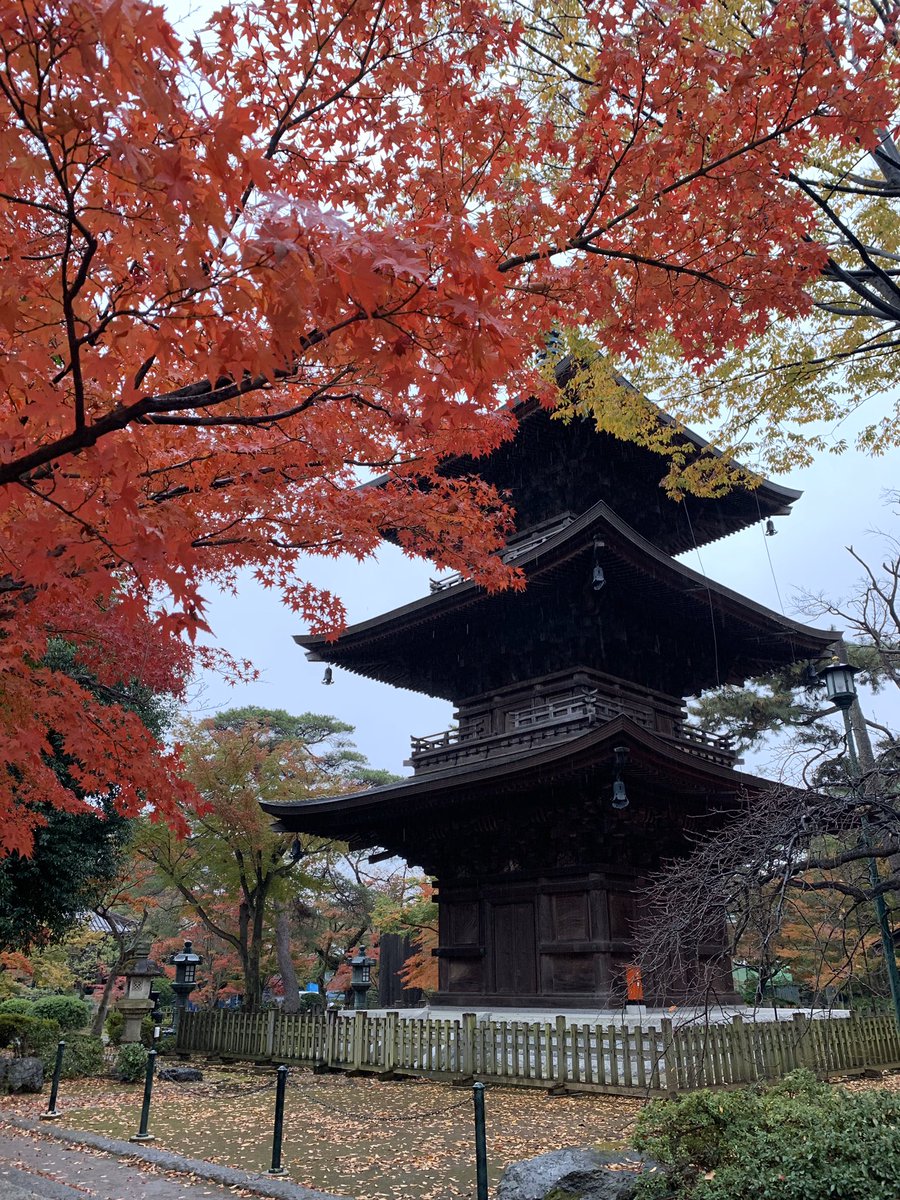 吠天野犬 Mlb Twitter