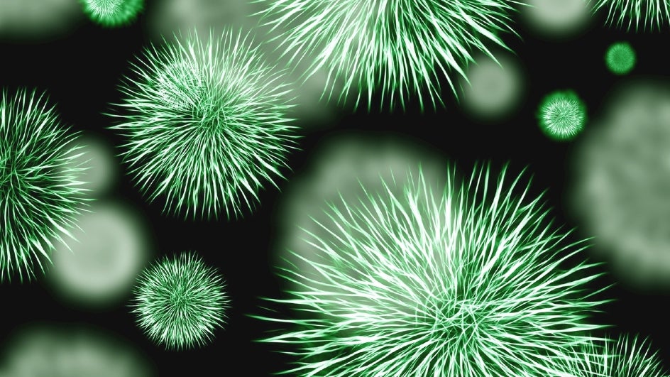 JonathanBerim's tweet photo. Investigadores israelíes han desarrollado bacterias que de alimentan exclusivamente de dióxido de carbono, informó el miércoles el Instituto de Ciencia Weizmann (WIS) en el centro de Israel. @WeizmannScience
🇮🇱
#CuidaranMiMundo #SoloEnIsrael
 (Ph: IANS, TWCh) https://t.co/f8zZBAVXkX
