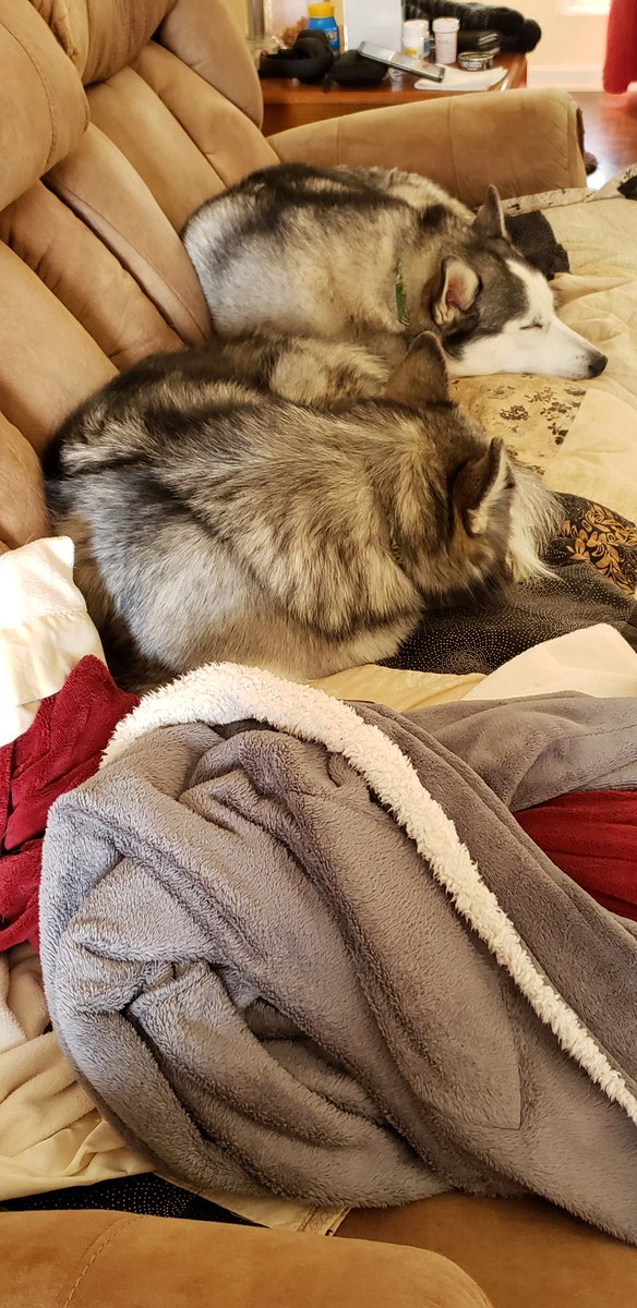 Sean Moran tweet media