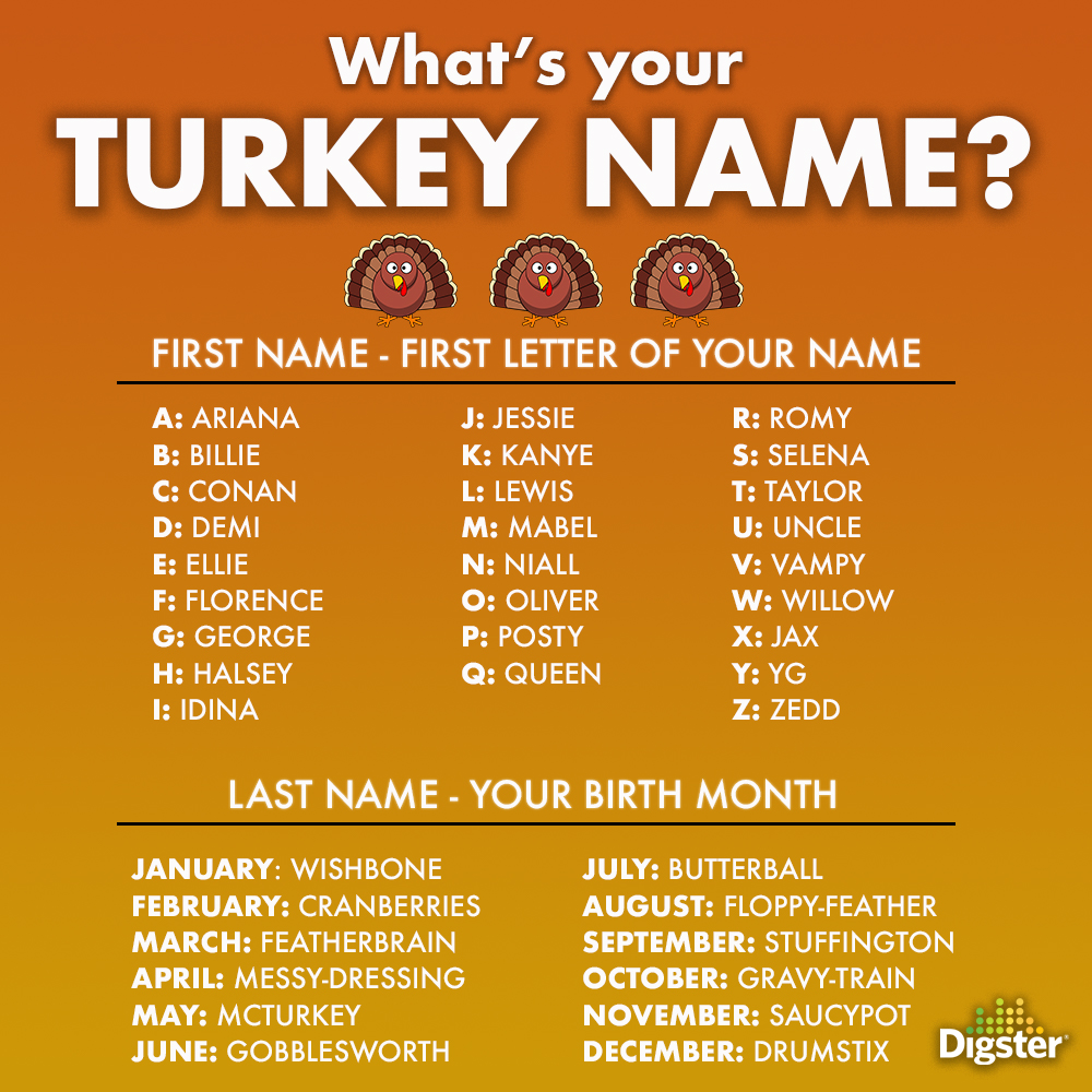 Digster Playlists What Is Your Turkeyname