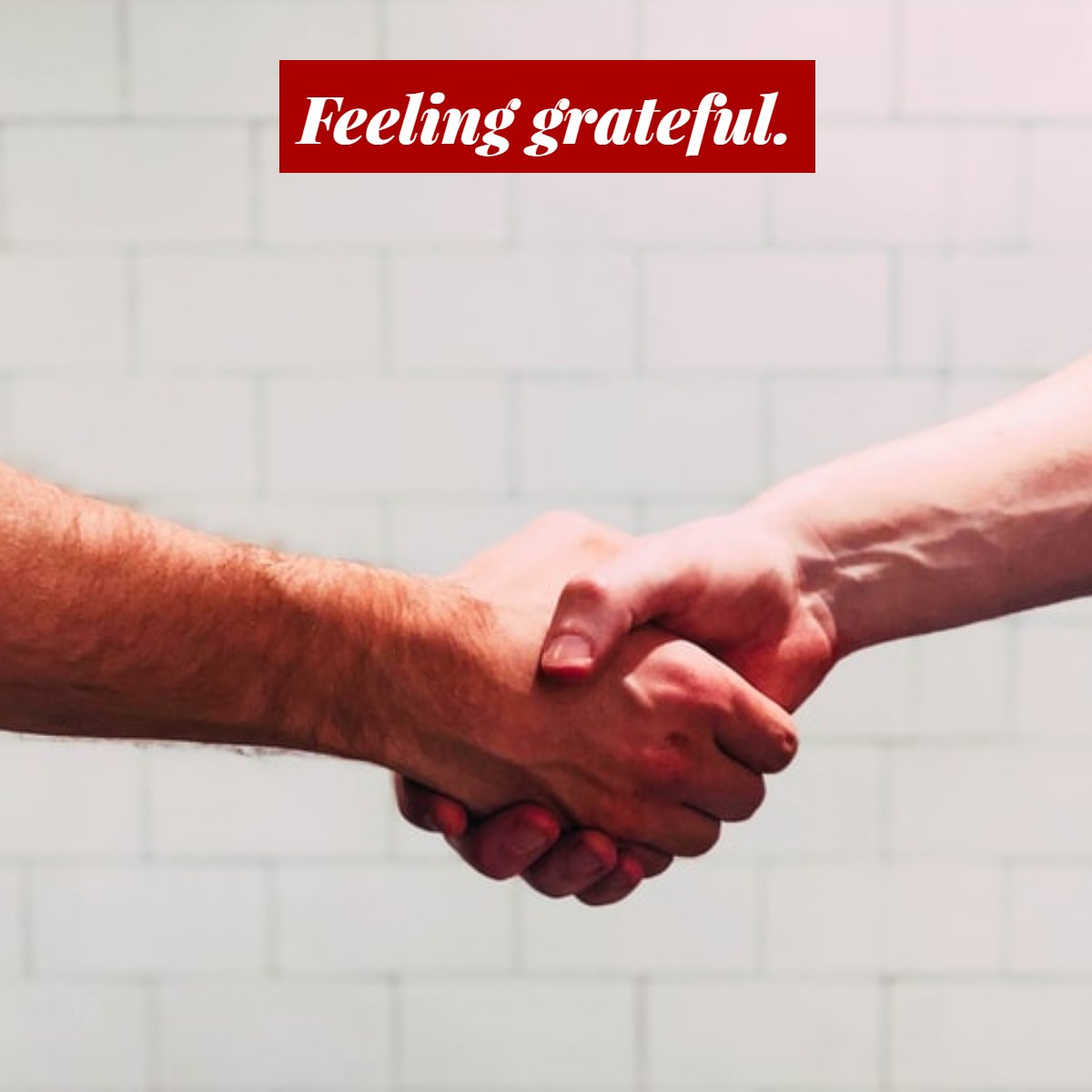 Bridger Valley Realty (bridgervalleyr1) Twitter