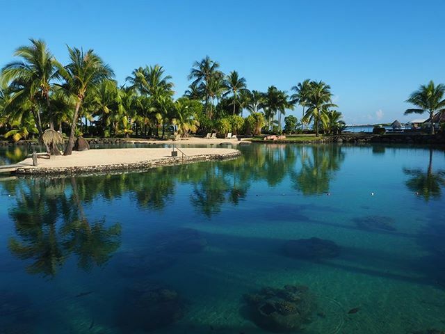 ICFr_Polynesia's tweet photo. What is the most relaxing place you’ve ever been to ? 📷 : Marine Salignon
https://t.co/w3DAQagztd
#ICTahiti #islandlife #Tahiti #pacific #landscape #tropicalsetting #uniqueexperience #InterContinentalLife #FrenchPolynesia #travel #resort #enjoypolynesia #paradise #dreamescap… https://t.co/gQTEbhlGQ0