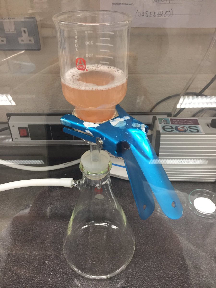 Smallest Plastics and the Largest Fish (@mplargestfish) on Twitter photo Want to know what dissolved #whaleshark 💩 looks like? There you go!
<a href="/AlinaMWieczorek/">Alina Wieczorek</a> is continuing #microplastics extraction from samples collected by <a href="/giulidonati11/">Giulia Donati</a> <a href="/mwsrp/">Whale Shark Research</a> <a href="/shamylio/">Shamylio</a> @ktkit_kat Bas and Iru in the Maldives 🇲🇻
<a href="/saveourseas/">Save Our Seas</a> <a href="/RyanInstitute/">Ryan Institute @ University of Galway</a> <a href="/ETH_en/">ETH Zurich</a> @nuigalway Want to know what dissolved #whaleshark 💩 looks like? There you go!
<a href="/AlinaMWieczorek/">Alina Wieczorek</a> is continuing #microplastics extraction from samples collected by <a href="/giulidonati11/">Giulia Donati</a> <a href="/mwsrp/">Whale Shark Research</a> <a href="/shamylio/">Shamylio</a> @ktkit_kat Bas and Iru in the Maldives 🇲🇻
<a href="/saveourseas/">Save Our Seas</a> <a href="/RyanInstitute/">Ryan Institute @ University of Galway</a> <a href="/ETH_en/">ETH Zurich</a> @nuigalway
