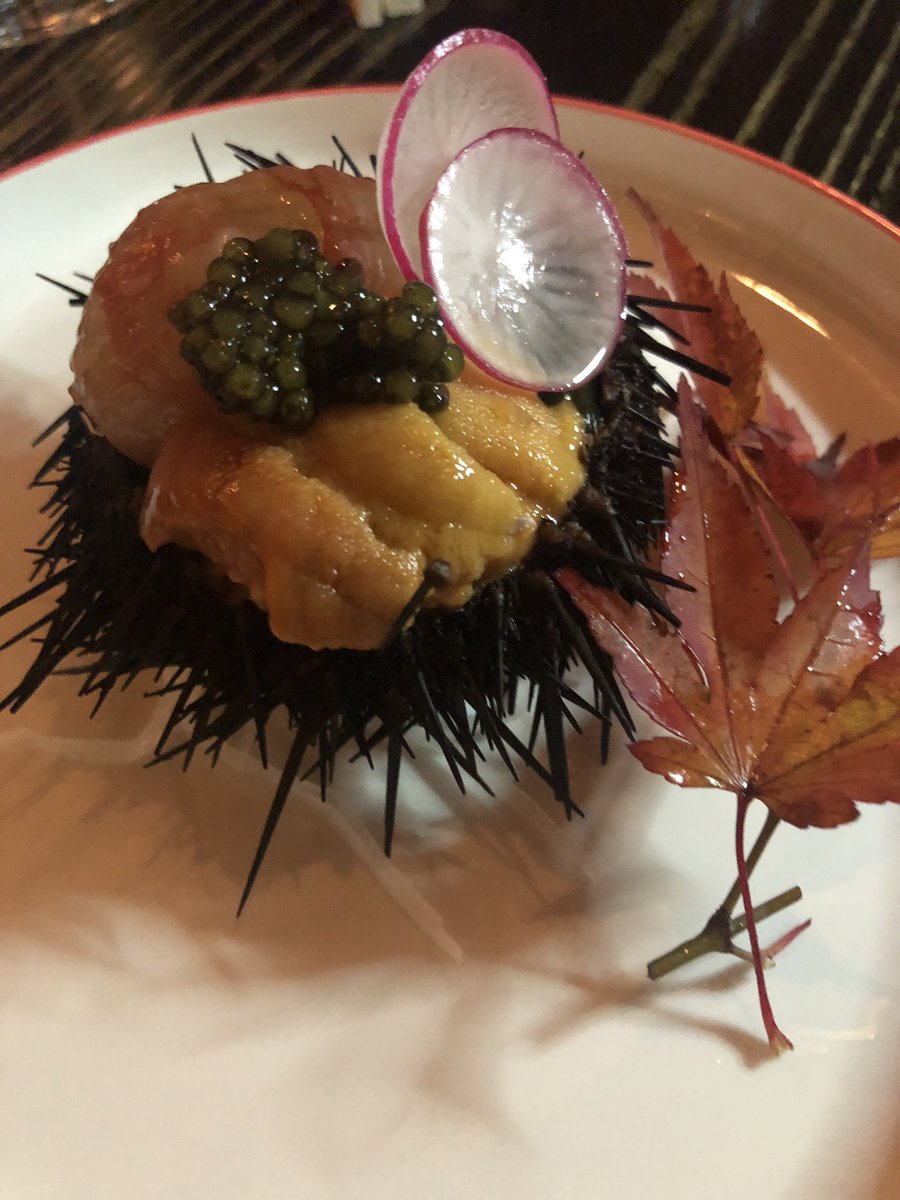 trendtravel's tweet photo. Fab nobu doha #nobudoha https://t.co/qde9pm466L