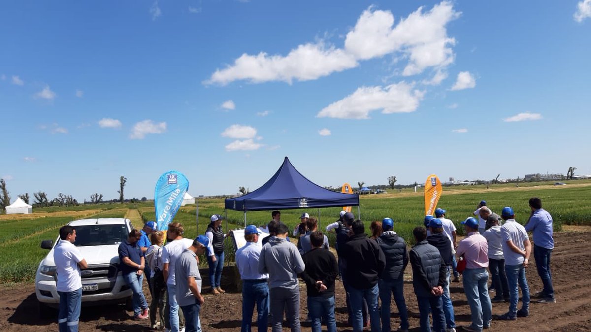 JosefinaO's tweet photo. Esta semana estuvimos en el día de campo de cervecería y malteria Quilmes compartiendo nuestra solución para lograr los objetivos  en cebada cervecera. @YaraArgentina @mguillelau @tomsainz  #cerealplus #cebadacervecera #yara #masnutricion #masyara https://t.co/VJYohsNc5U