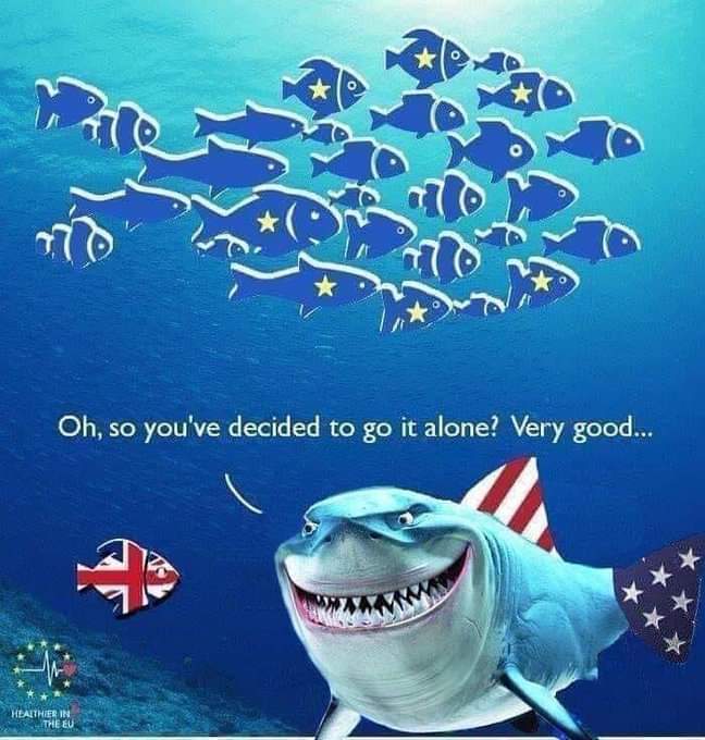 NWarks4EU's tweet photo. https://t.co/ne6nDNJXMz