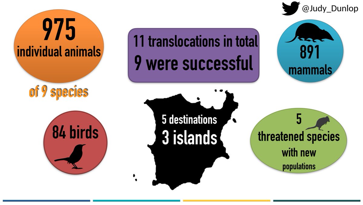 Judy Dunlop tweet media