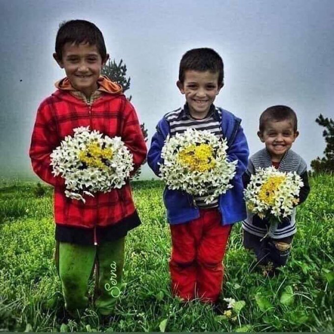 “Paylaştığın senindir, biriktirdiğin değil.”

Yunus Emre

İyi geceler dostlar