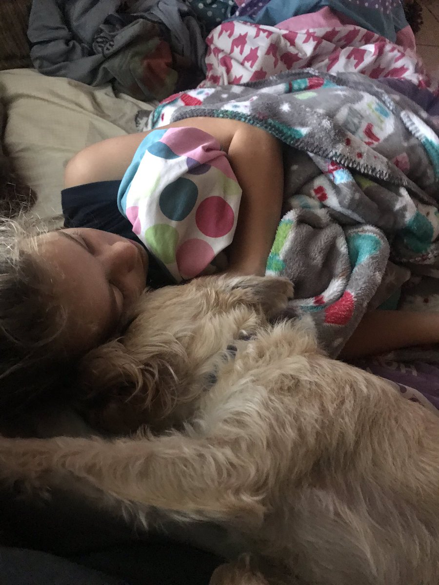 AmbamMoore's tweet image. Hard skipping Thanksgiving since Hayden has to stay in bed after surgery but brightened our day that we turned on Christmas lights by the TV &amp;amp; @antwon_tanner @HilarieBurton @robertbuckley @DanneelHarris in a Christmas movie!! It’s from last year but one of our favs! Thanks guys!