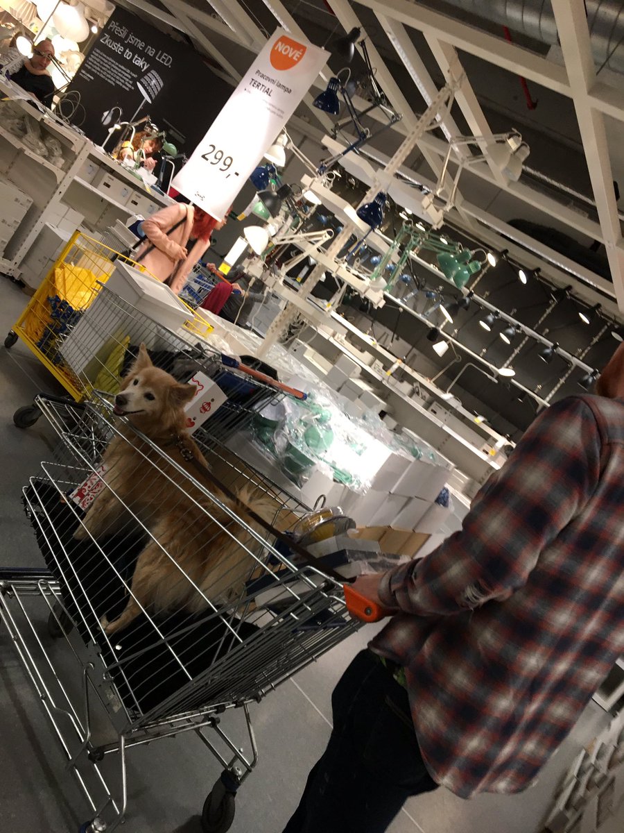 RetroDigital_ie's tweet photo. Our head of security’s search for a new bank has taken him to Sweden and back. Thank god AIBs switcher team can now save the day! #AIBBEAwards #BobiStyle #NewCustomer https://t.co/S7ACA5YVF5