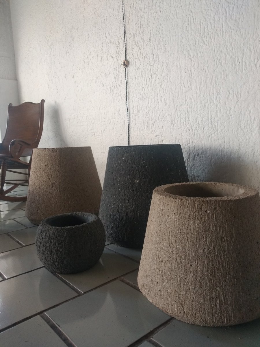 tachi_villalba's tweet photo. Oigan, compren plantas y macetas para esta navidad, siempre es bueno un #toqueverde en la casa.

Pusimos vivero en la oficina de @finolozano, pasele a comprar ♥️♥️, citas conmigo 😁 https://t.co/41qeUROC8Y