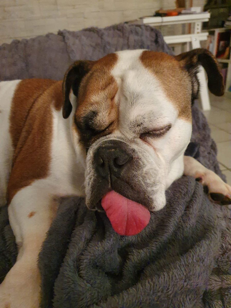 Vincent Poirier On Twitter N Est Elle Pas Grandiose