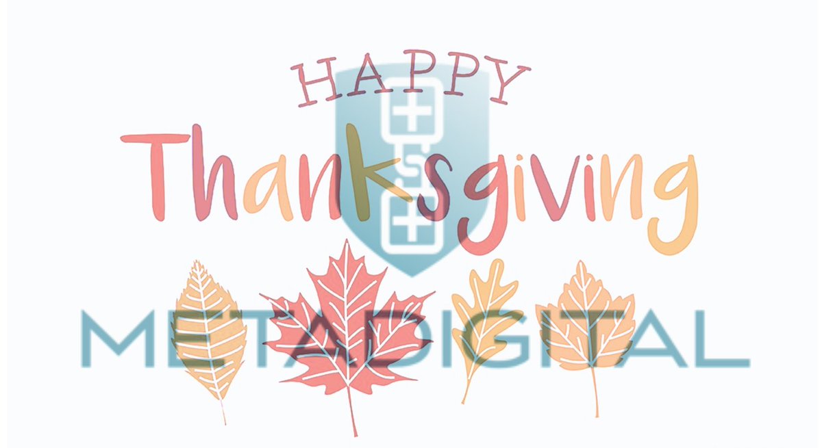 Happy Thanksgiving from our family at Metadigital to yours.