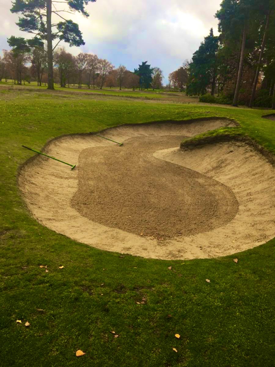 Justin ROSE tweet media