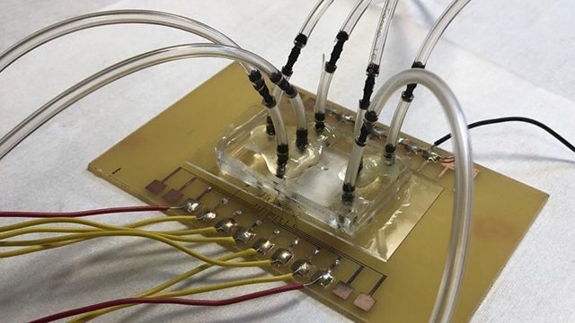 This new testing tool can change the #rawpetfood game! This tool can quickly test if food is contaminated with #salmonella and other foodborne illnesses. Read more here: animalwellnessmagazine.com/testing-salmon…