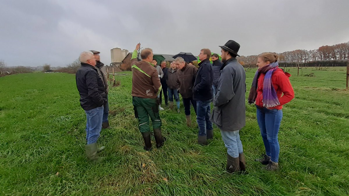 stichtingprobos's tweet photo. Veel interesse bij de workshop #notenteelt op pluimveebedrijf Johan Verbeek, met dank aan expertise van Roderik de Vries @notengaard. Ihkv #klimaatakkoord werkt Probos samen met @biomeerwaardeei @louisbolk en Face the Future aan ontwikkeling van #agroforestry in kippenuitlopen. https://t.co/DauRmJp4Qa