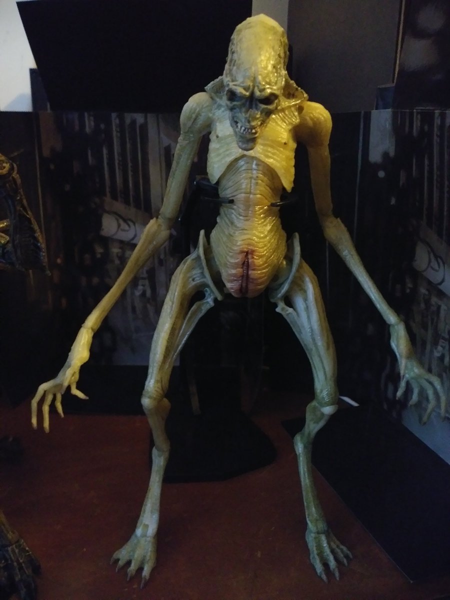BlueBoy8000's tweet photo. 1, 2, 3, 4...Thanksgiving Family Reunion thanks to @NECA_TOYS !!🙏 It's #AlienResurrection 's 22 Year Anniversary and it IS canon. Happy Thanksgiving y'all!! #AlienFandom https://t.co/HgzN0ywLcc