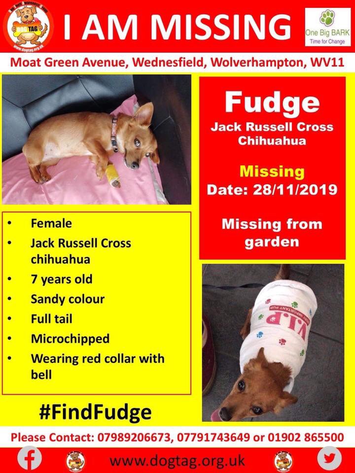 veryluckypugs's tweet photo. 🆘🆘 #FindFudge
Missing from garden in Moat Green Avenue, Wednesfield, Wolverhampton, WV11.
Please share to get her home https://t.co/qpzHbUJgQx